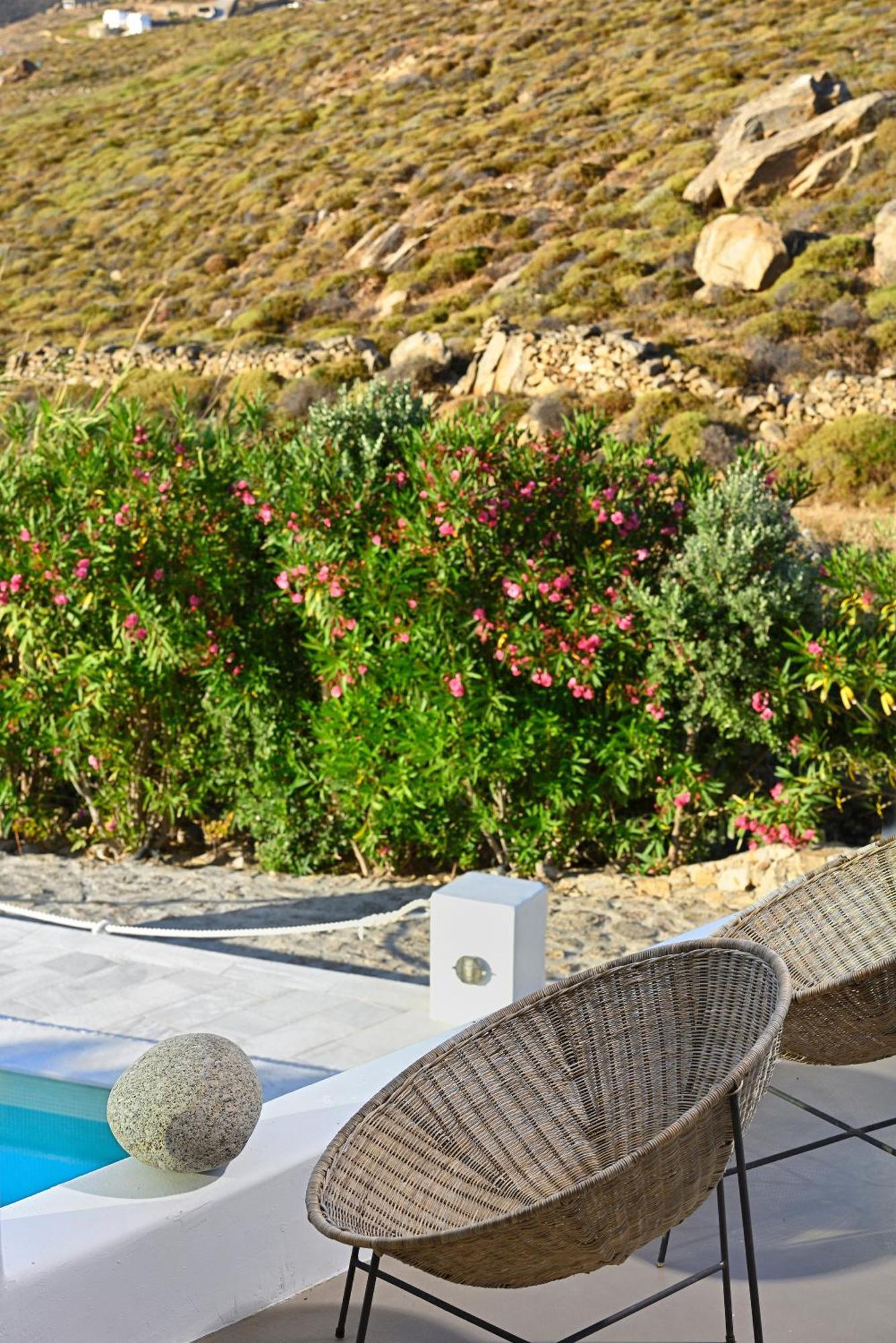 Mykonos Dream Villas Фтелия Экстерьер фото